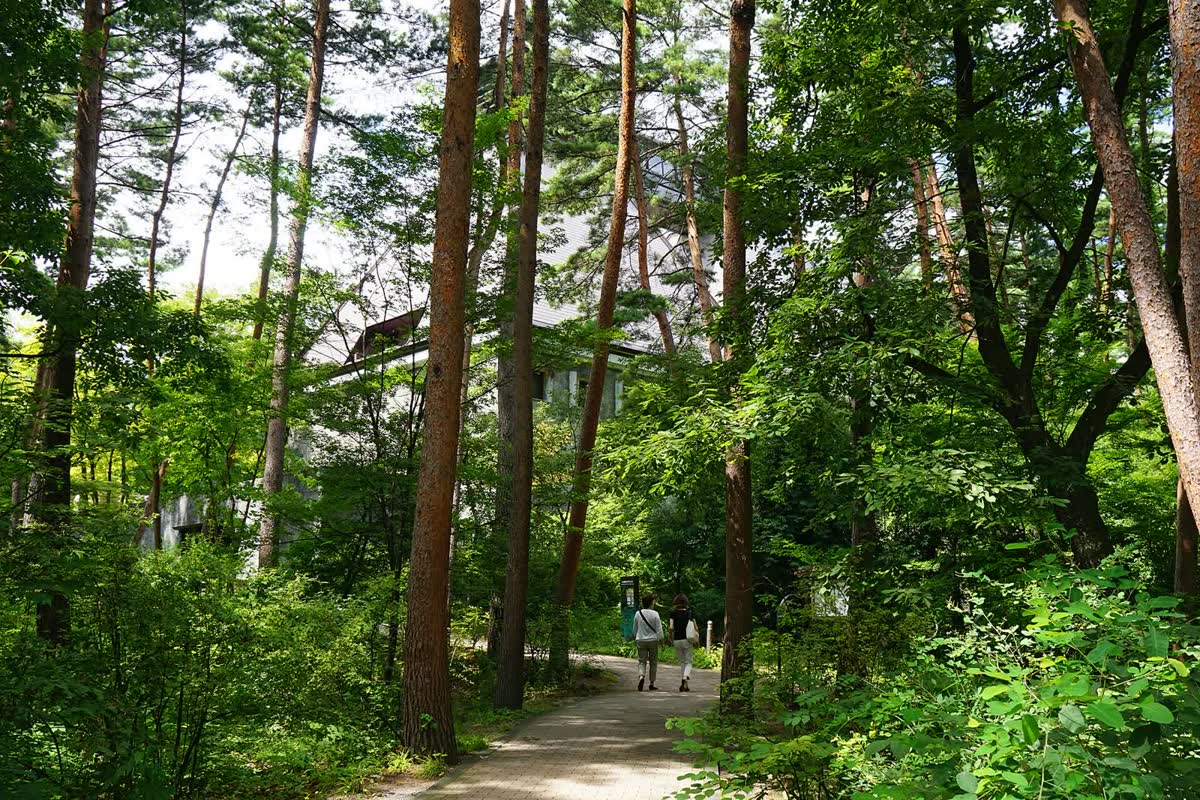 蒸溜所の敷地の森の小道